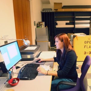 Media Arts intern, Kelly, searches for artifacts on JANM's database.