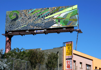 Peacock1