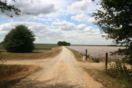 Entrance to Rohwer concentration camp. Photo: Richard Murakami.