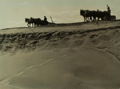 This was J.T. Sata's favorite photograph. Photograph by J.T. Sata. Japanese American National Museum. Partial and promised gift of Frank and Marian Sata and Family.